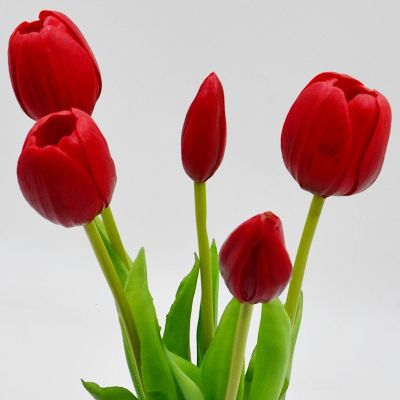 10. Strauß aus 5 roten Tulpen, 39 cm, wie eine lebende Frühlingsdekoration