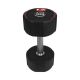 37. Body Sculpture TPU Hantel BW 133 12 KG