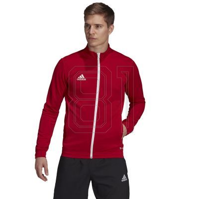 2. Adidas Entrada 22 Track Jacket M H57537 Sweatshirt