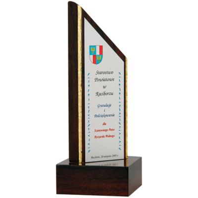 8. Gravierte Kunststofftrophäe