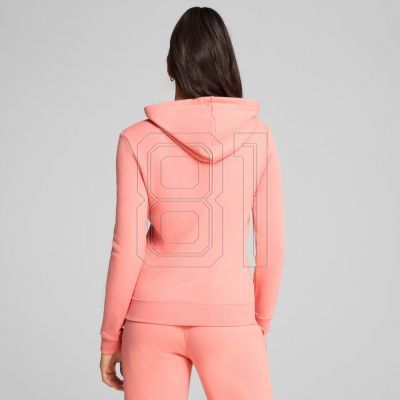 4. Puma ESS No. 1 Logo Hoodie W 682391 18