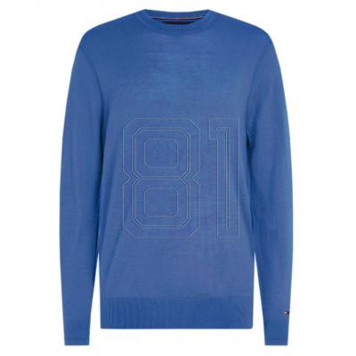 5. Tommy Hilfiger Luxus M MW0MW31011 Pullover