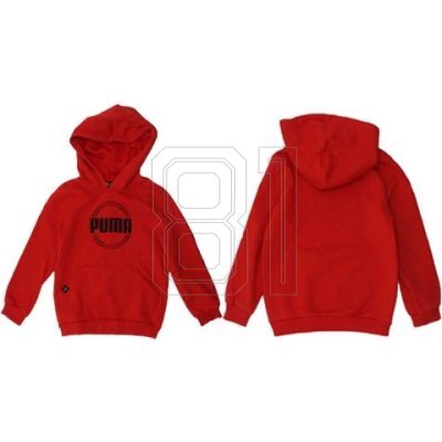 3. Puma DCT Hoodie Jr 849258 Sweatshirt 11