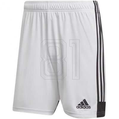 adidas Tastigo 19 Shorts M DP3247