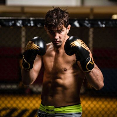 9. 8oz Boxhandschuhe - Hawk - Origin Series