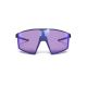 2. Julbo EDGE Sonnenbrille, schwarz