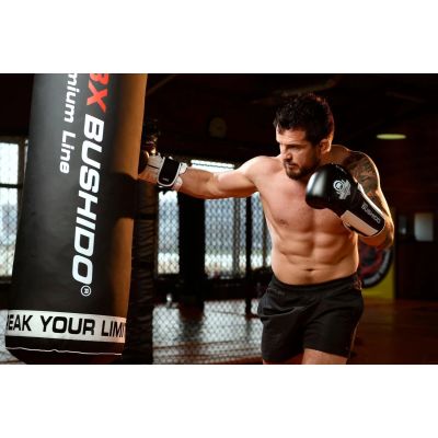 5. 10oz Boxhandschuhe - Phantomweiß - Valor Series