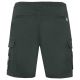 2. Herren-Shorts Protest PRTCENN Cargoshort