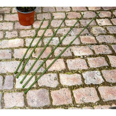 22. KINZO Pflanzenstützstangen, 6 Stück, 50–80 cm