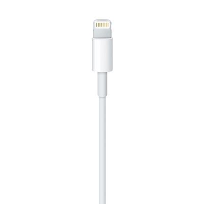 2. Apple Lightning-auf-USB-Kabel (2 m) MD819ZM/A
