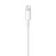 2. Apple Lightning-auf-USB-Kabel (2 m) MD819ZM/A