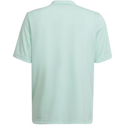 8. adidas Entrada 22 Graphic Jersey Jr HF0127