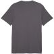 2. Puma Herren ESS Small No. 1 Logo T-Shirt (Grau) 682535 77