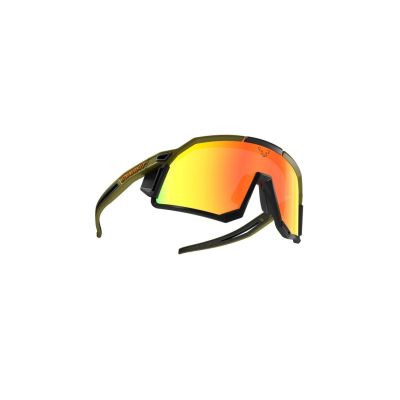 DYNAFIT sky evo-winter moss-dawn Sportbrille