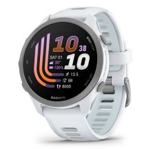 Garmin Forerunner 170 42,6 mm Whitestone Cloud Blue