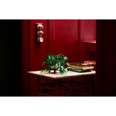 12. LEGO Botanische Kollektion 11512 – Hängendes Gold-Epipremnum
