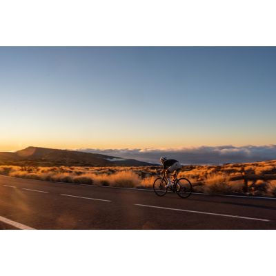 3. Rogelli Herrenshorts SIGNATURE beige L