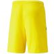 2. Puma teamLIGA M 704924 07 Shorts