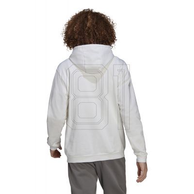 2. Adidas Entrada 22 M HG6302 Sweatshirt