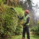 20. Heckenschere 65 cm, 54 V DCMPH566N DEWALT