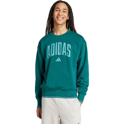 7. Herren adidas Collegiate Sweatshirt Grün JM1733