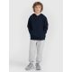 4. Jungen-Sweatshirt mit Kapuze, offen, 4F 4FJRMM00TSWSM2482-31S