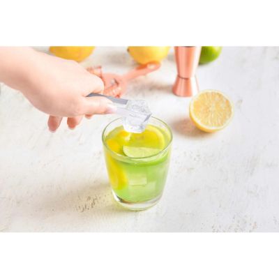 22. Eisbehälter 1,2 l Alpine Zunge