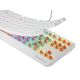 10. GENESIS Thor 230 TKL Tastatur Gaming USB + RF Wireless + Bluetooth QWERTY US Englisch Weiß