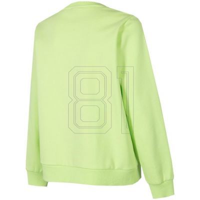 2. Sweatshirt 4F W H4Z22 BLD020 45S