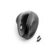 3. Kensington Pro Fit® Ergo Vertikale Kabellose Maus
