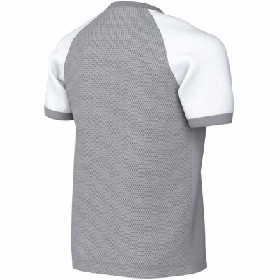 2. Nike Dri-FIT Trophy VI Kinder-T-Shirt Grau HV8158 012