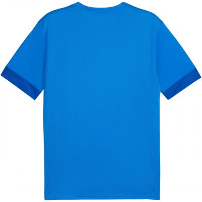 2. Puma teamGoal Spieltagstrikot M 705747 02