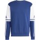 Adidas Squadra 25 Sweat Crew M JD2958 sweatshirt