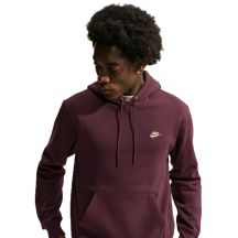 Nike Club BB Hoodie FN3859-652