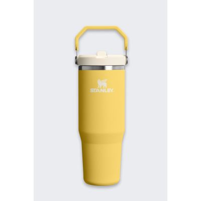 Stanley IceFlow Flip Strohhalm-Thermosbecher 20 08 D