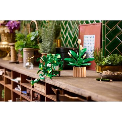 8. LEGO Botanische Kollektion 11512 – Hängendes Gold-Epipremnum