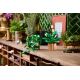 8. LEGO Botanische Kollektion 11512 – Hängendes Gold-Epipremnum