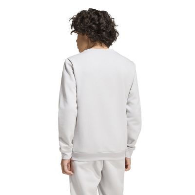 4. adidas Entrada 26 Sweatshirt für Kinder, grau, JZ6551
