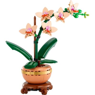 3. LEGO Botanische Kollektion 10343 - Kleine Orchidee