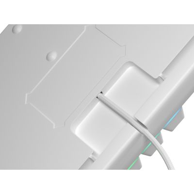 4. GENESIS THOR 303 TKL US WEISS RGB MECHANISCHE GAMING-TASTATUR MIT LEISEM SCHALTER UND HOT-SWAP-FUNKTION