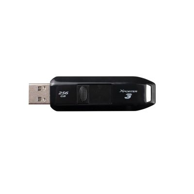 PARTIOT FLASHDRIVE Xporter 3 256 GB Typ A USB3.2