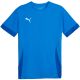 Puma teamGoal Matchday Jersey M 705747 02