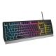 GENESIS GAMING TASTATUR RHOD 300 RGB US NKG-1528