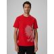 Herren-Baumwoll-Fächer-T-Shirt 4F 4FRSS26TTSHM4200-62S