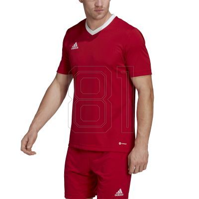 3. Adidas Entrada 22 M T-shirt H61736