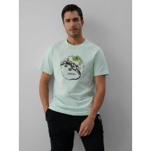 Herren-T-Shirt mit Aufdruck, regulär, Größe 4F 4FKAW26TTSHM4474-47S