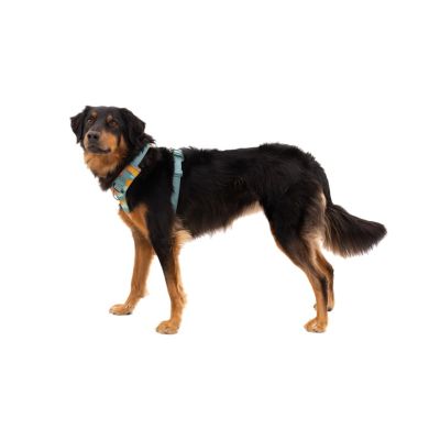 7. Ruffwear 30503-355S1 Hunde-/Katzengeschirr XS Grün Nylon, Polyester Hundegeschirr (nicht dehnbar)