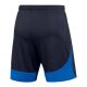 2. Nike Dri-FIT Academy Pro M Shorts DH9236-451