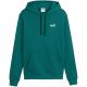 Puma ESS 2 Color Small No. 1 Logo Hoodie Grün 684719 41
