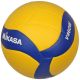 Mikasa V450W Volleyball